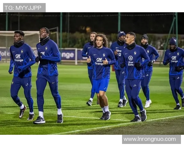 回顾2014年法国队足球明星阵容及其在世界杯上的精彩表现