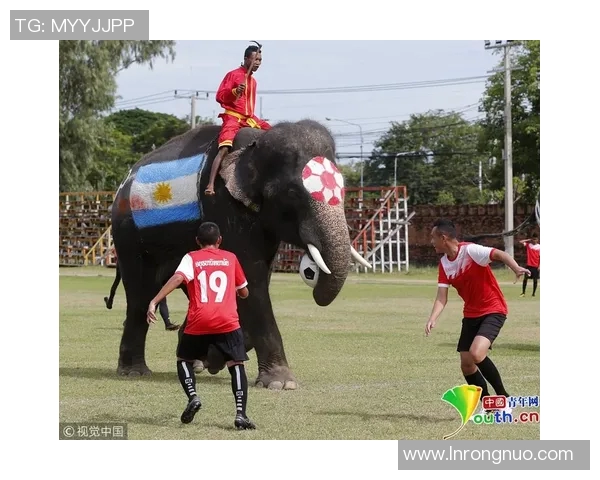 当今足球界的超级巨星们谁能称霸绿茵场引领未来潮流