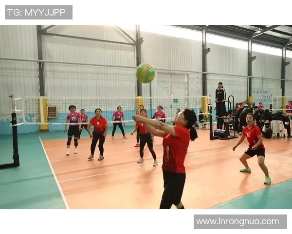 深圳排球队实力分析：在联赛中展现的卓越表现与未来潜力