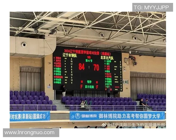 数据分析：武汉篮球队的灵活性表现