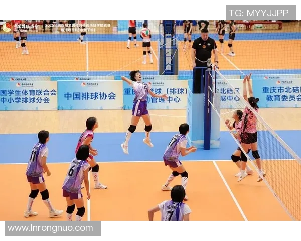 排球战术：上海排球队的运营体系