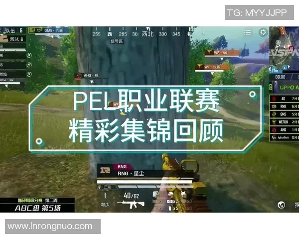 和平精英战术：RNG的整体压制体系