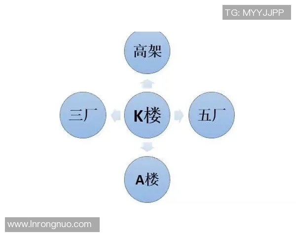 独家分析：武汉网球队的技术对比
